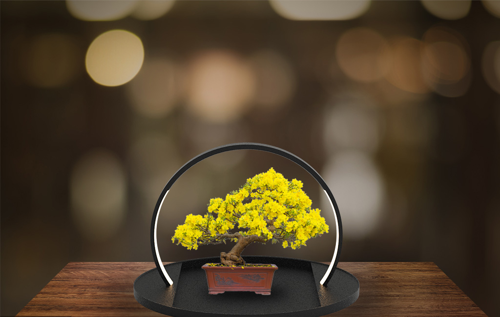 lamp，decorate，Bonsai ornaments，Chinese style，lighting，