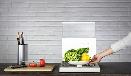 Steamed vegetables，heating，Microwave Oven，Kitchenware，cooking，