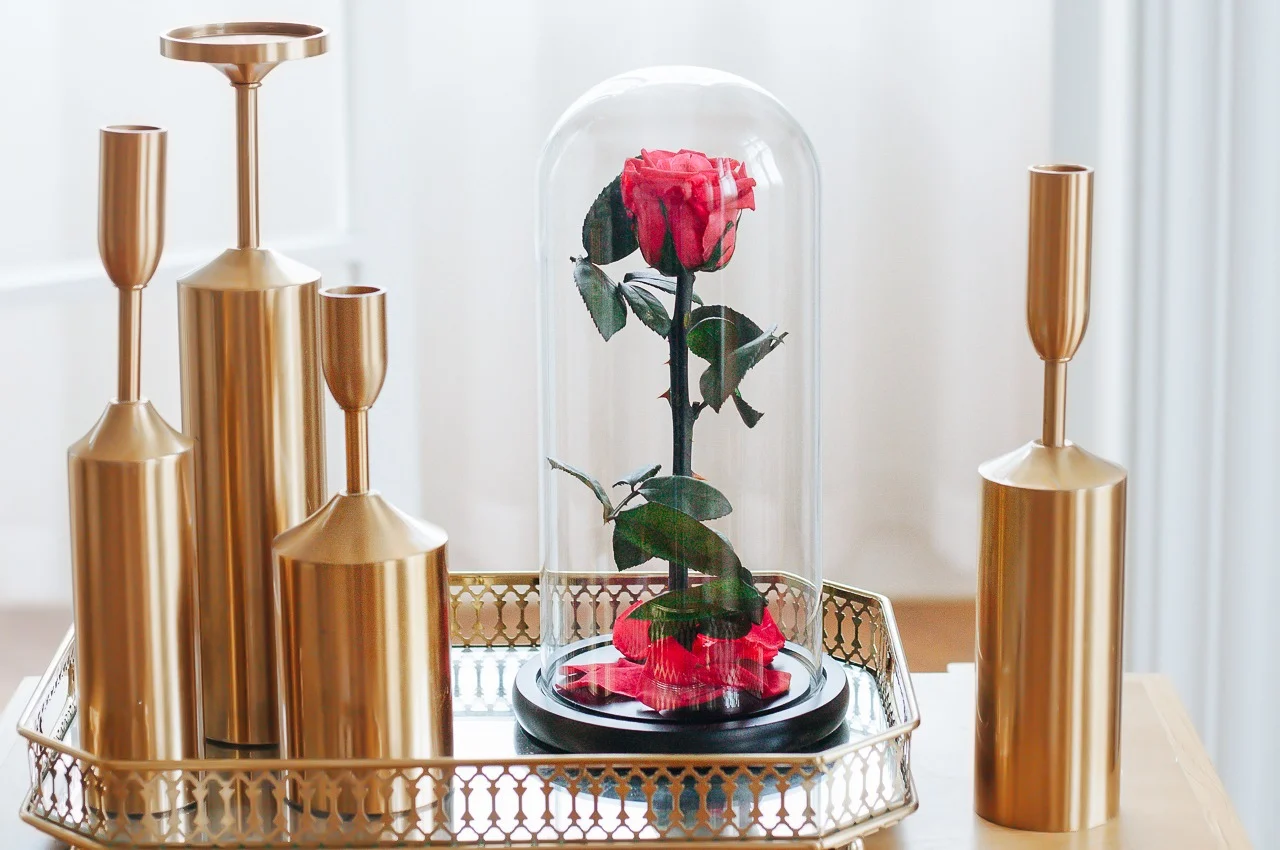rose，Appearance design，product design，