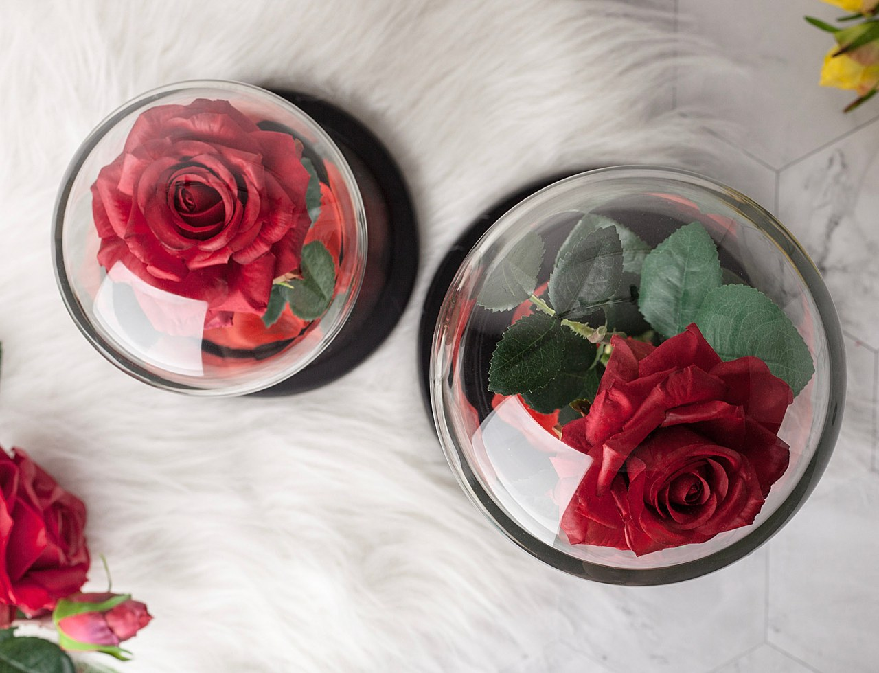 rose，Appearance design，product design，