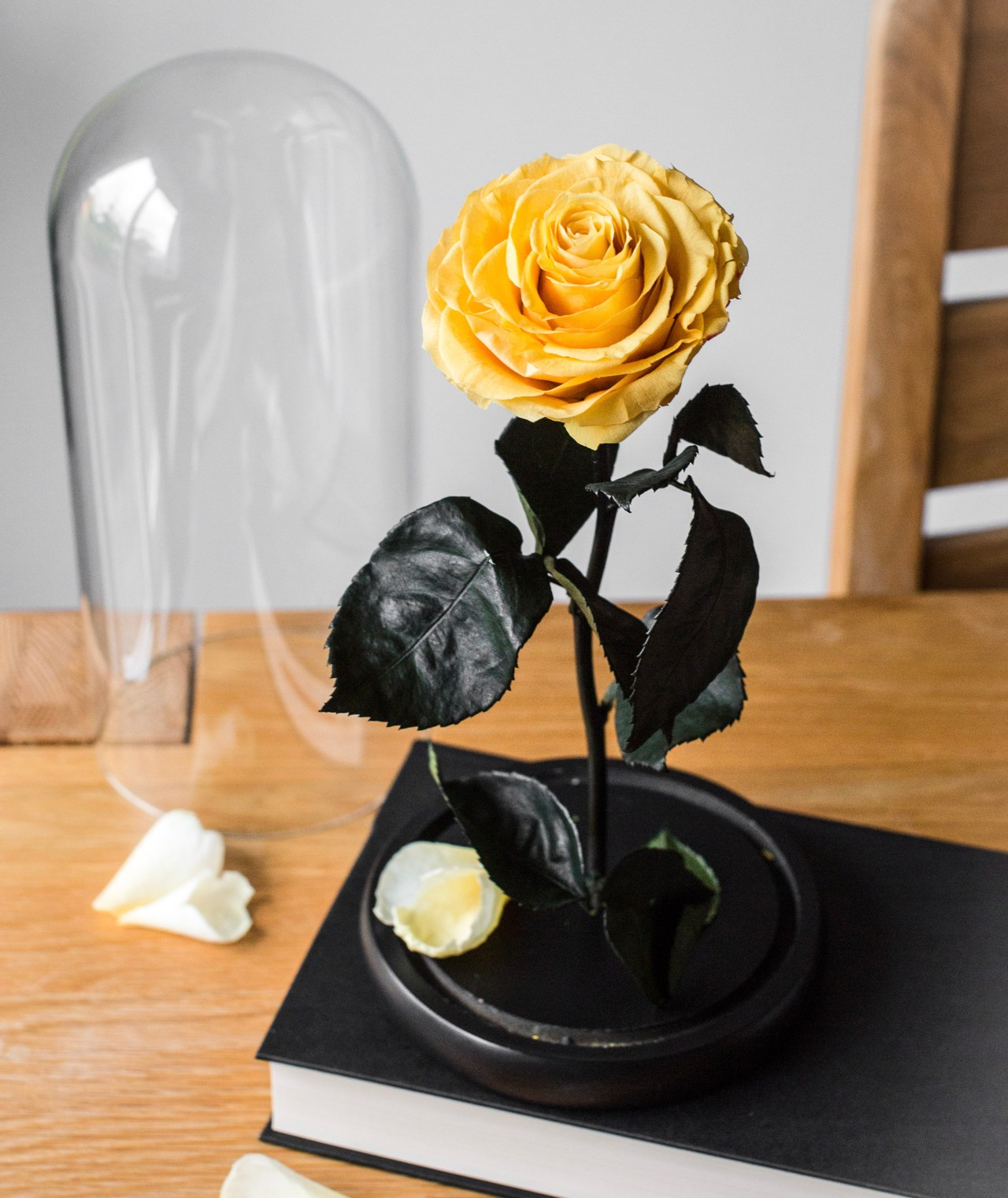 rose，Appearance design，product design，