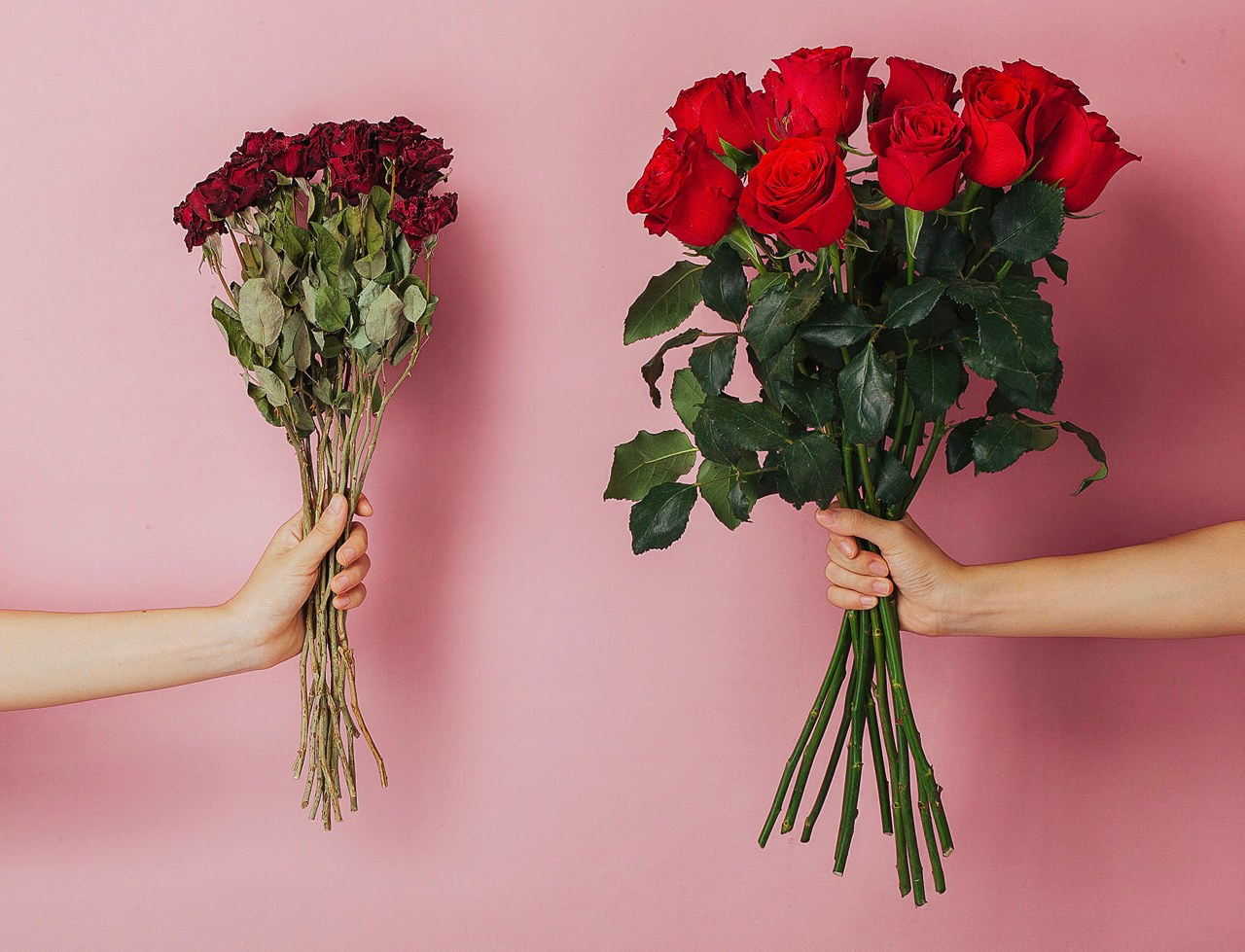 rose，Appearance design，product design，