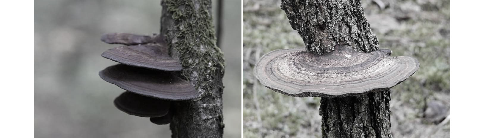 wireless charger ，Appearance design，delicate，product design，