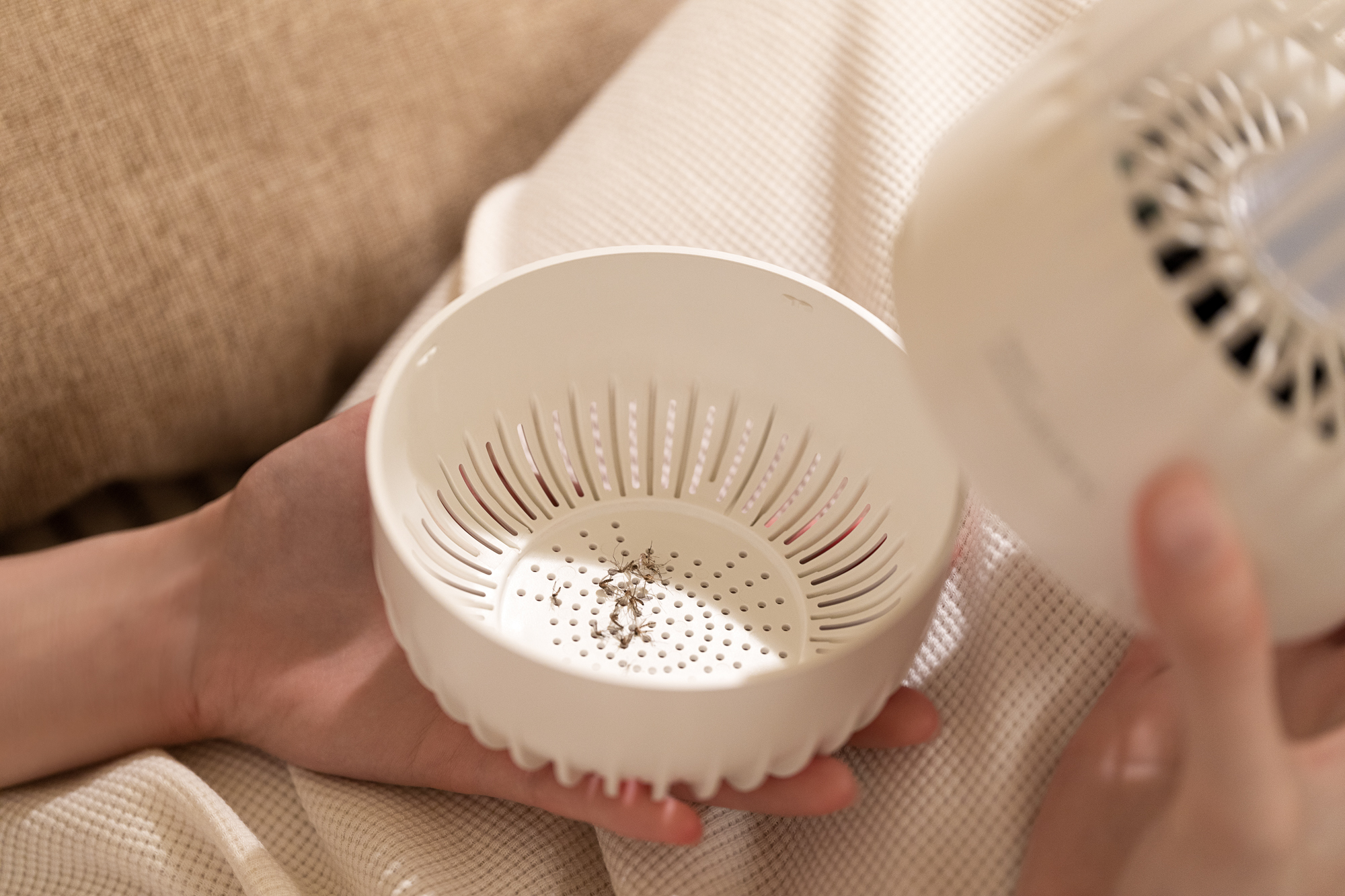 You two，mosquito killer，