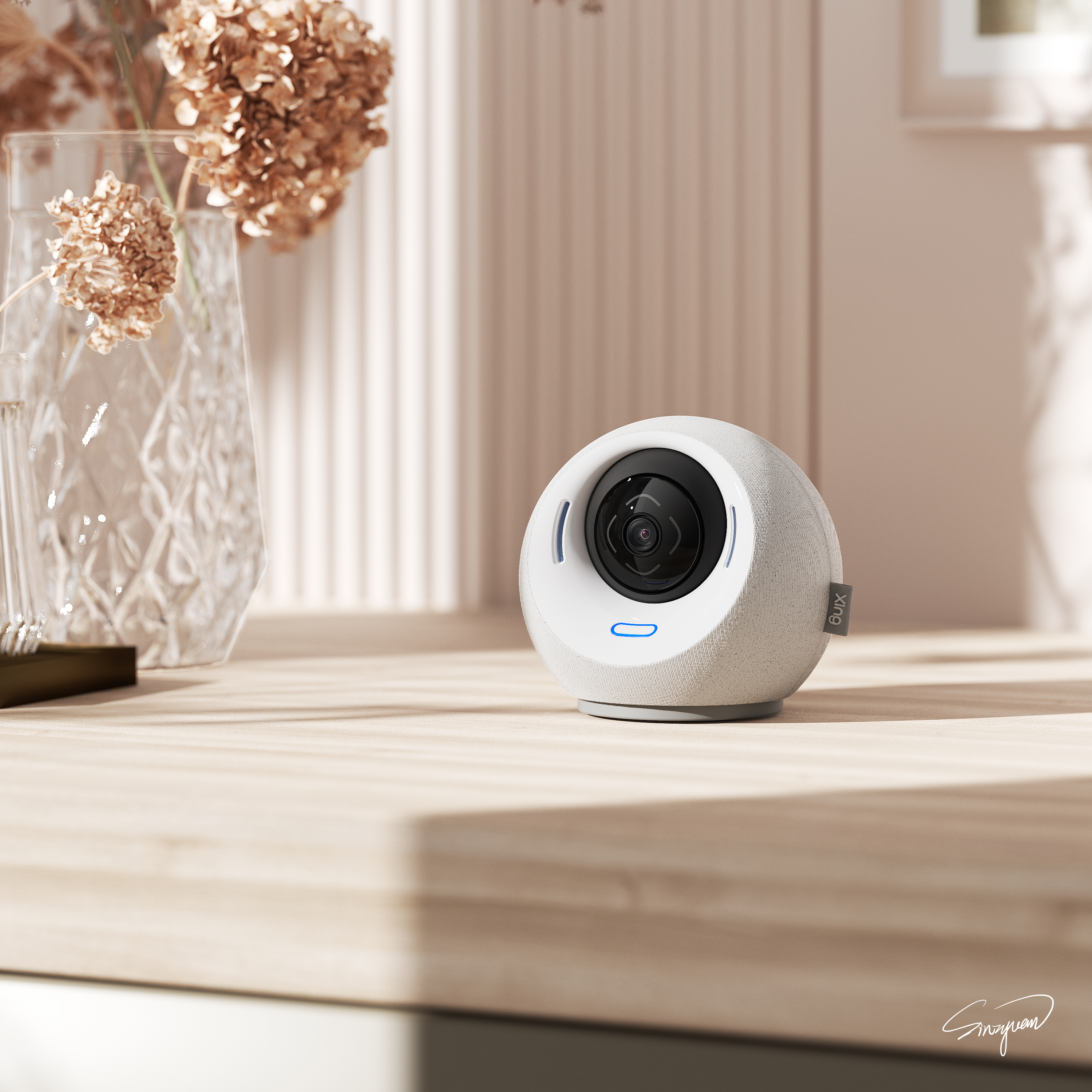 Security，camera，video camera，indoor，spherical，