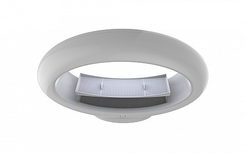 Potted plants，Desk lamp，Botany，lamp，Atmosphere lamp，