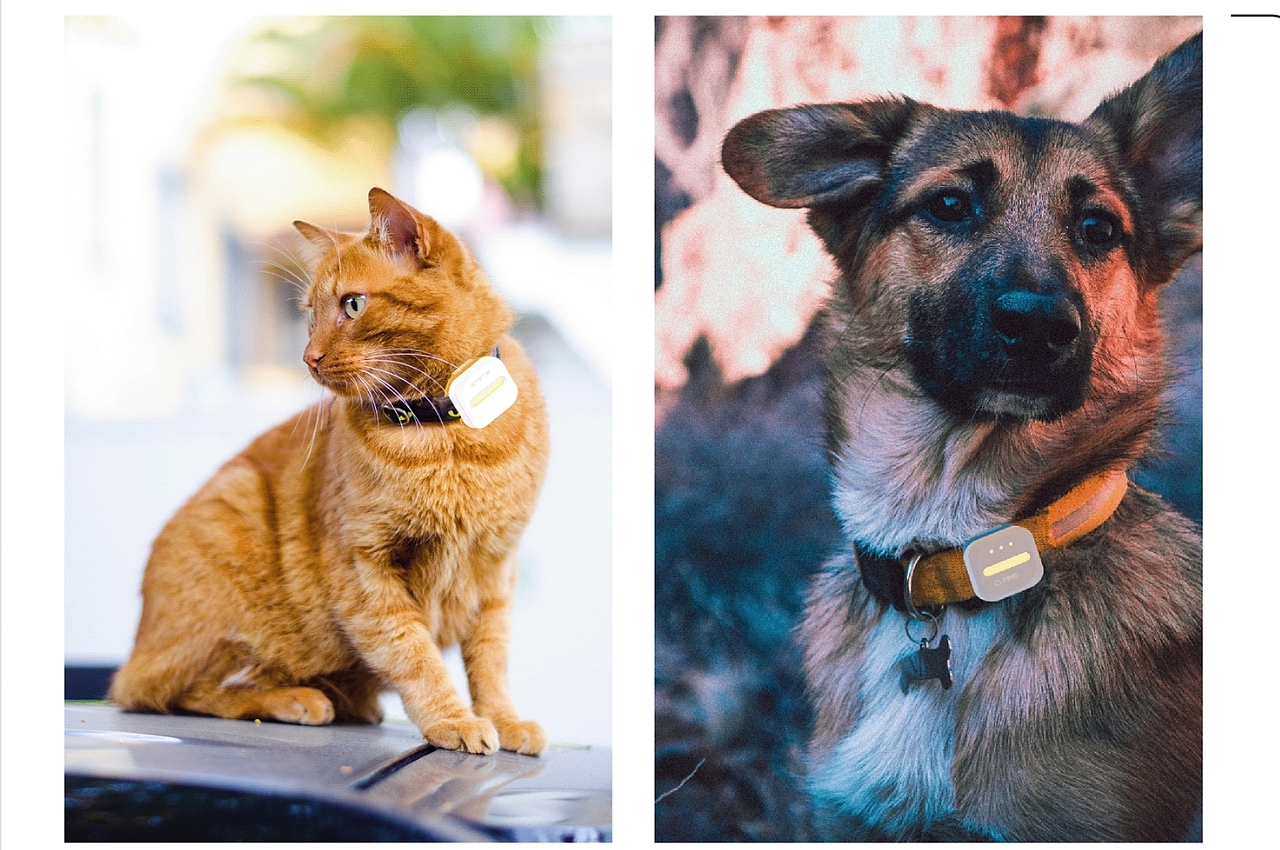 Tracker，Pet Supplies & Pet，intelligence，