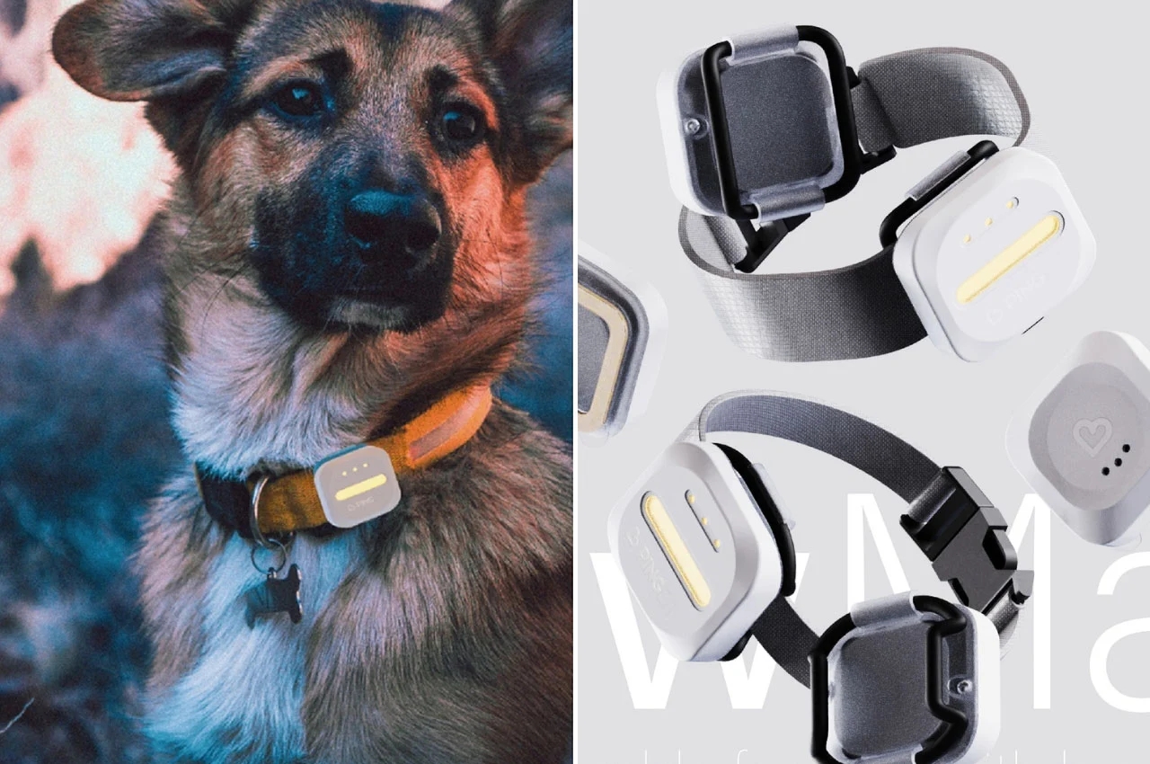 Tracker，Pet Supplies & Pet，intelligence，