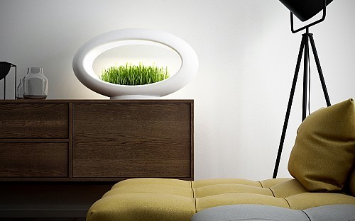 Potted plants，Desk lamp，Botany，lamp，Atmosphere lamp，