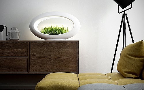 Potted plants，Desk lamp，Botany，lamp，Atmosphere lamp，