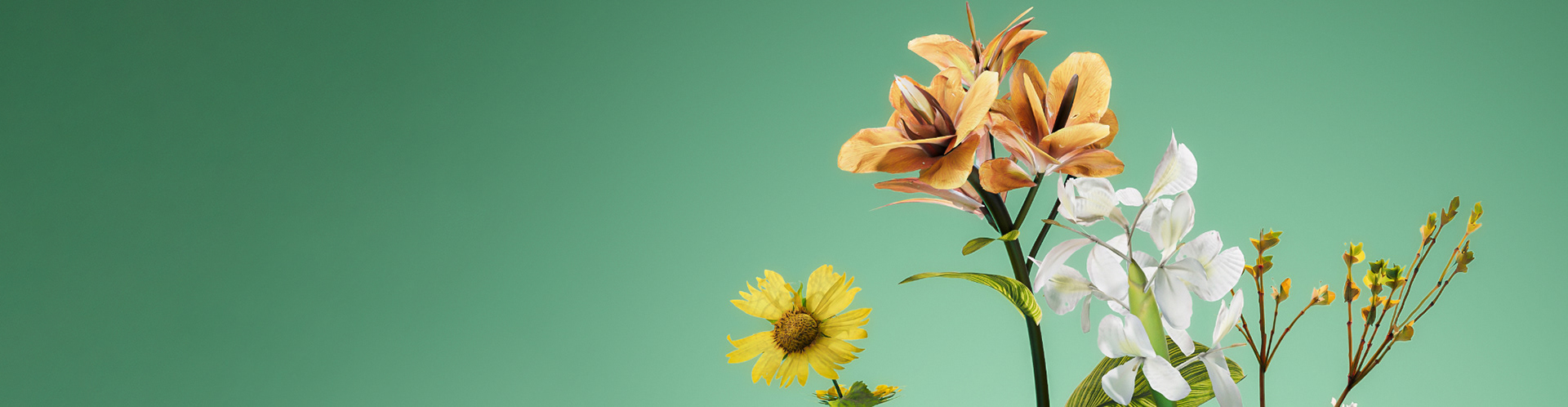 vase，Illustration，Home Furnishing，product design，Vase design，design，