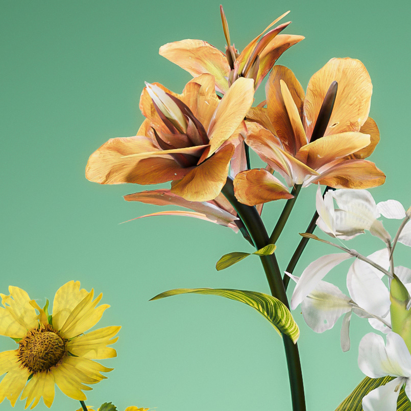 vase，Illustration，Home Furnishing，product design，Vase design，design，