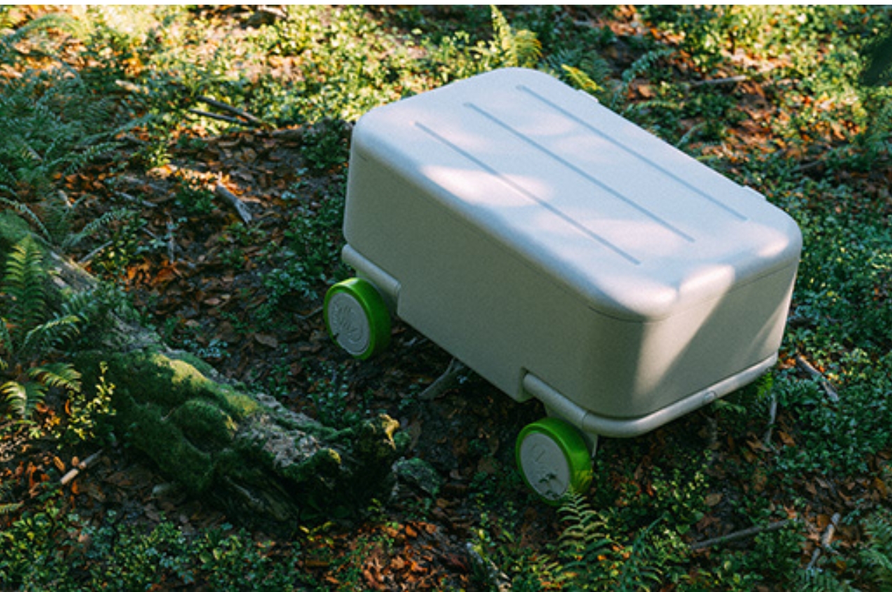 handbag，trunk，product design，Design，industrial design，design，