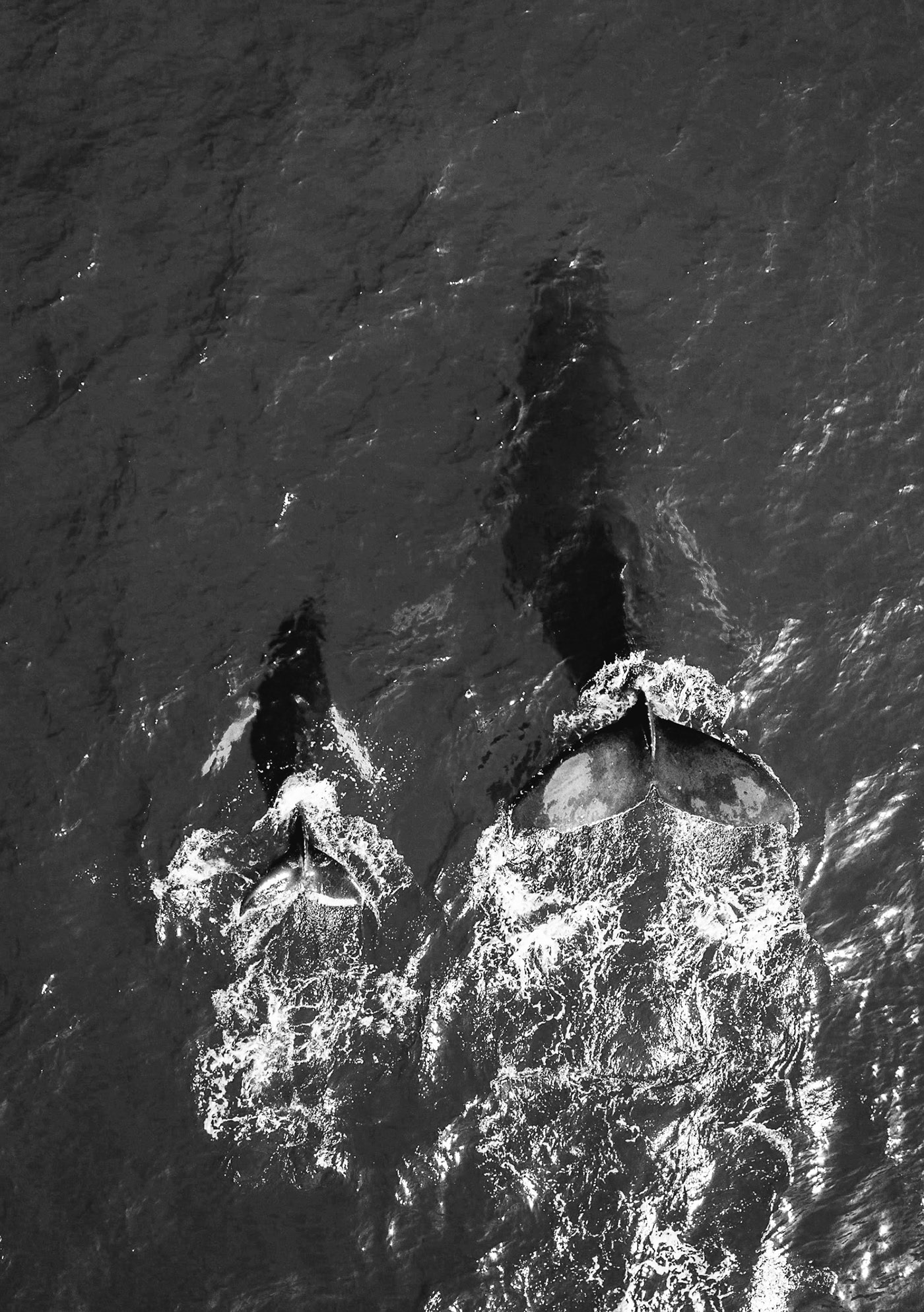 Ponpo，electronic product，Sleeping aids products，originality，