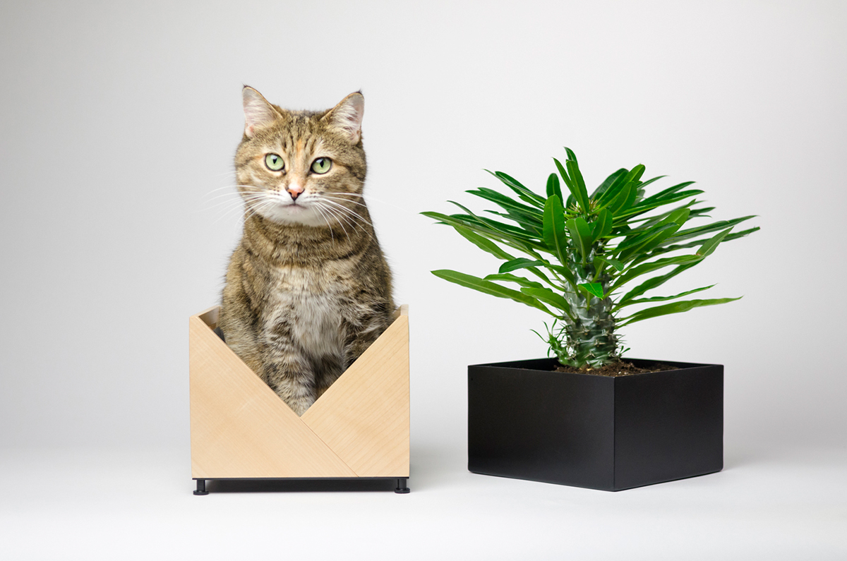 Flower Disk，Origami，Natural wood，container，Planting flowers and plants，decorate，