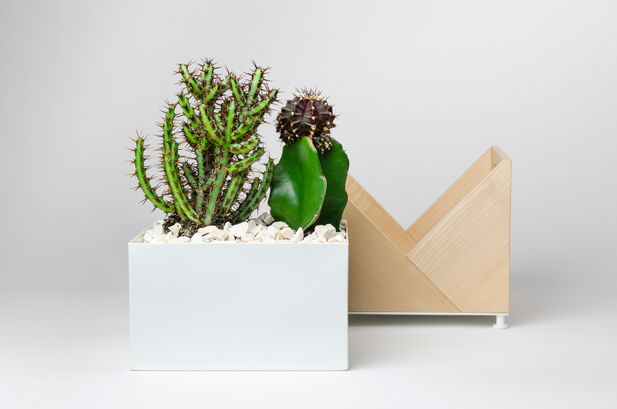 Flower Disk，Origami，Natural wood，container，Planting flowers and plants，decorate，