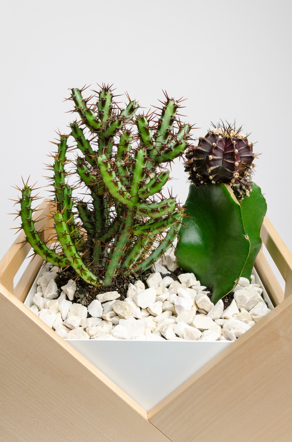 Flower Disk，Origami，Natural wood，container，Planting flowers and plants，decorate，