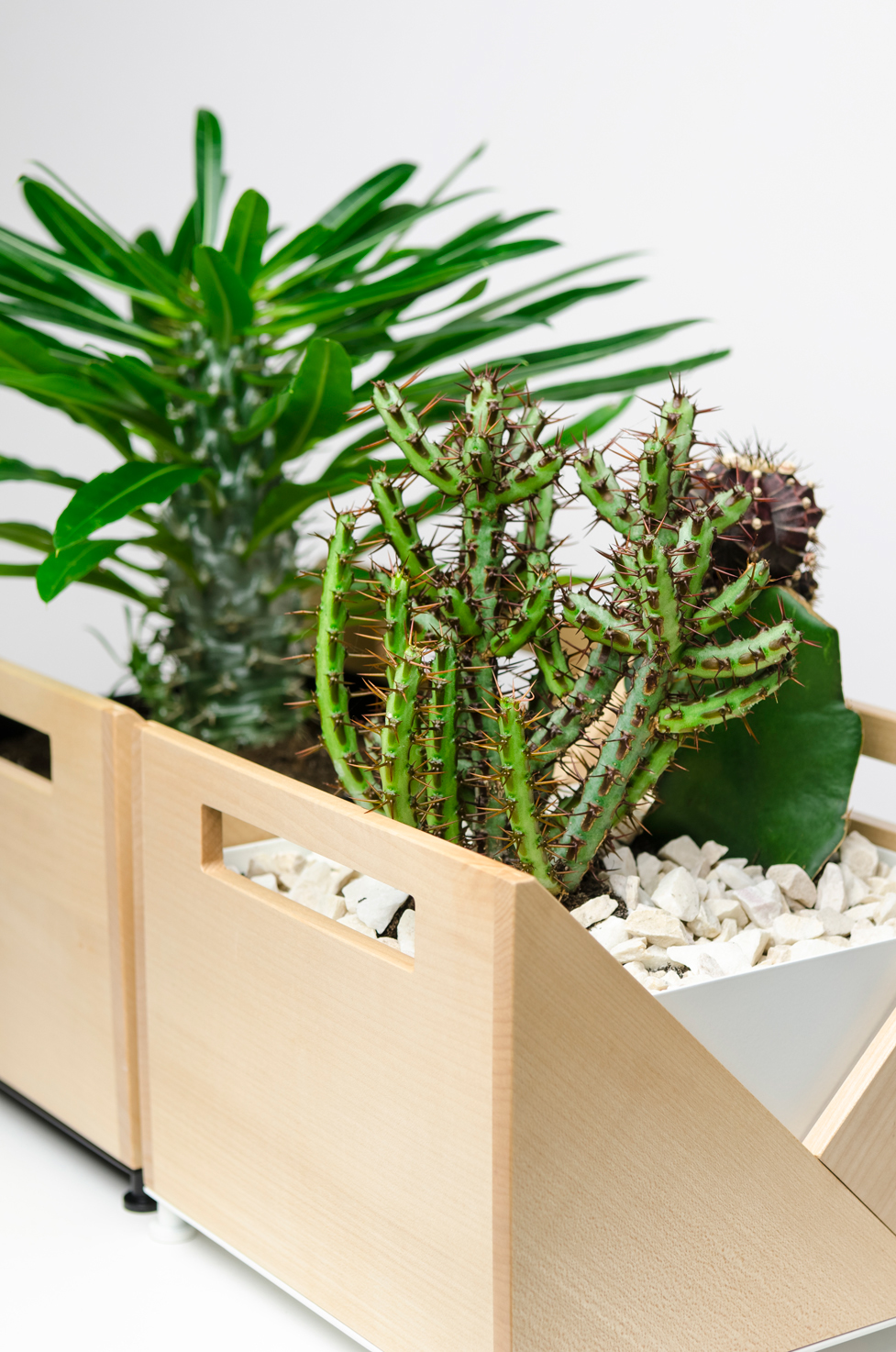 Flower Disk，Origami，Natural wood，container，Planting flowers and plants，decorate，