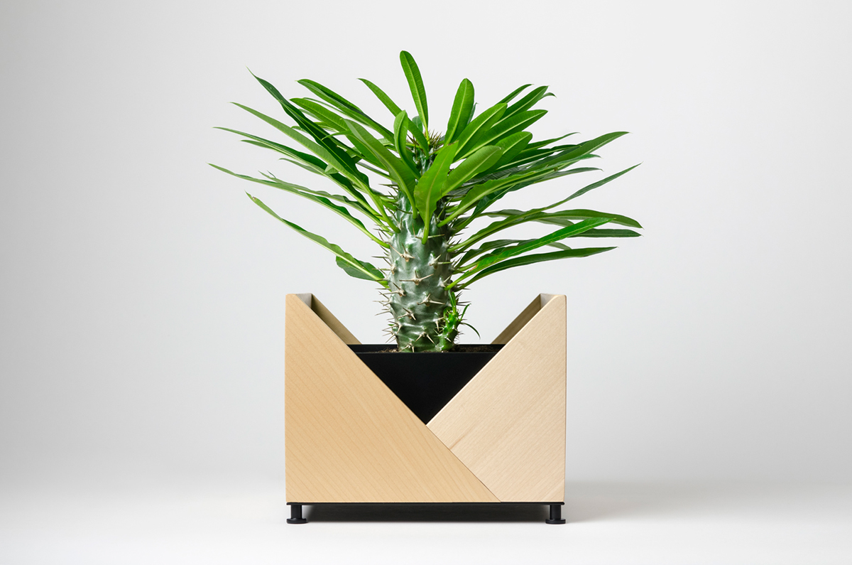 Flower Disk，Origami，Natural wood，container，Planting flowers and plants，decorate，