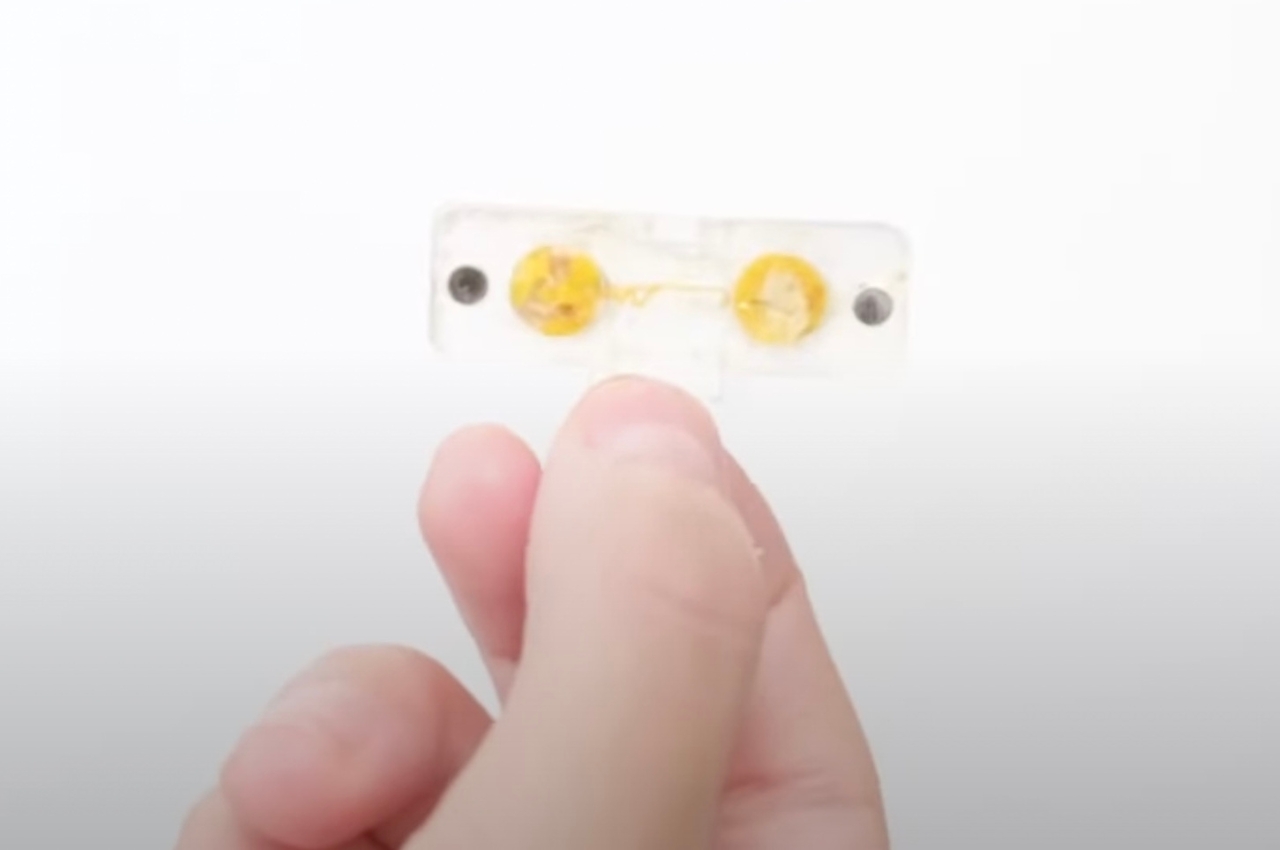 Wrist watch，intelligence，environmental protection energy，