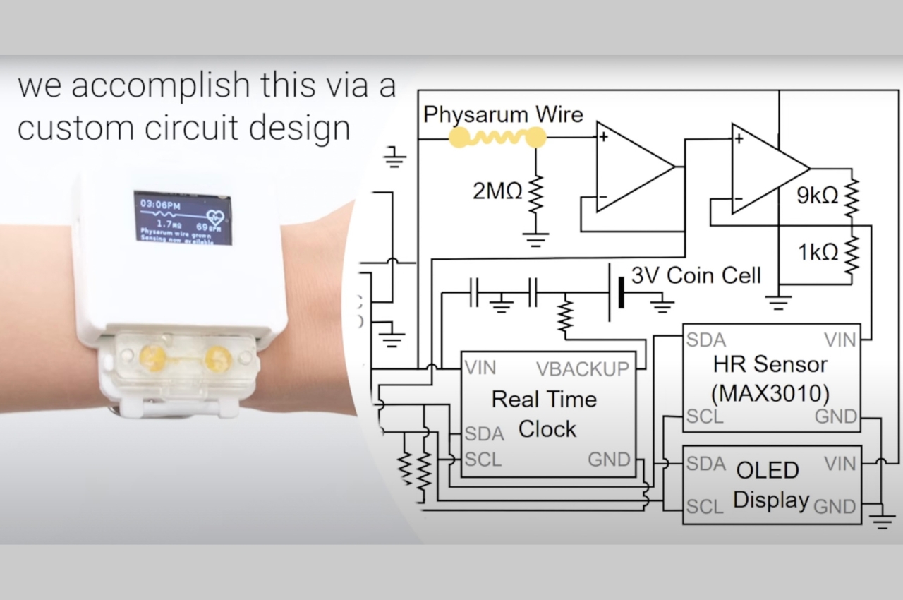 Wrist watch，intelligence，environmental protection energy，