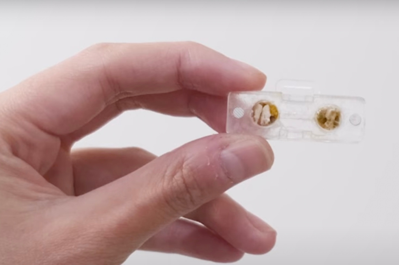 Wrist watch，intelligence，environmental protection energy，