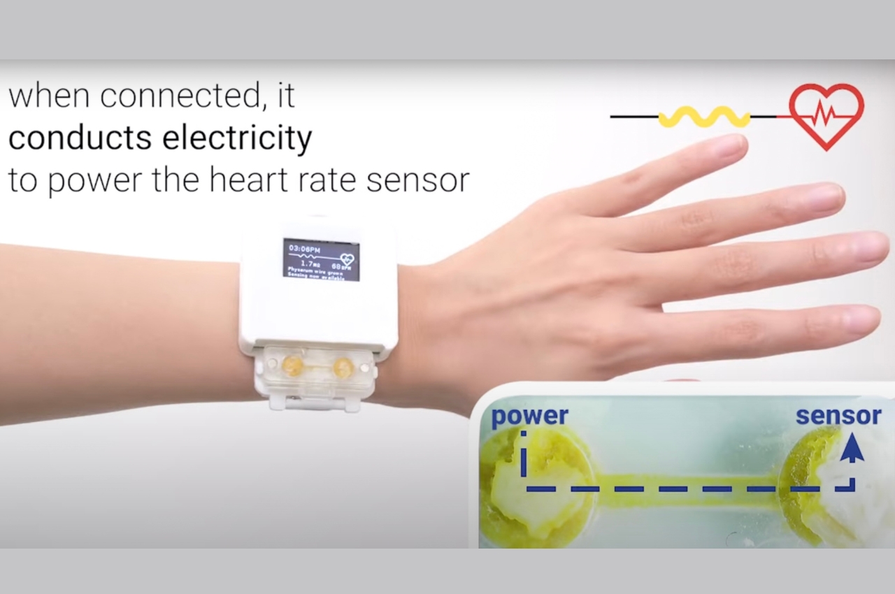 Wrist watch，intelligence，environmental protection energy，