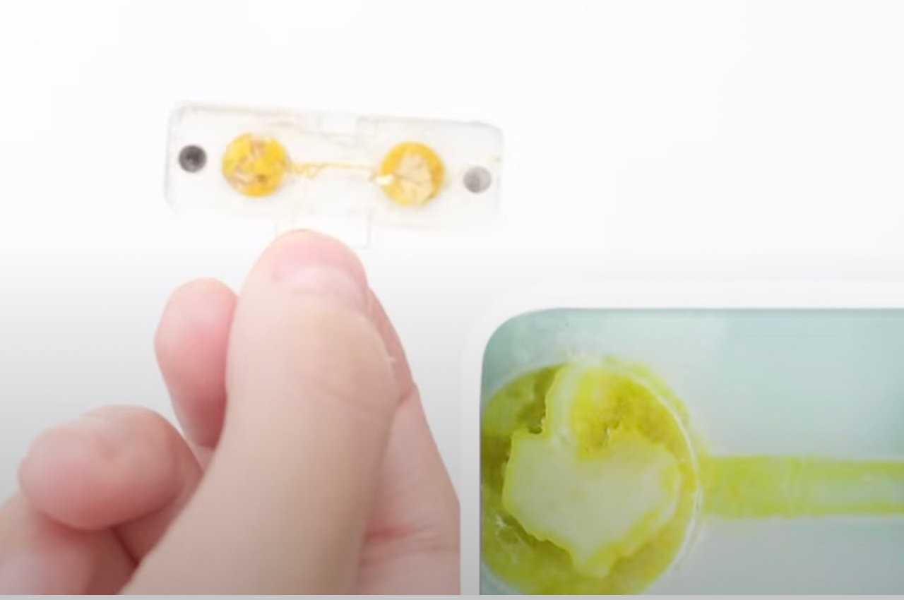 Wrist watch，intelligence，environmental protection energy，