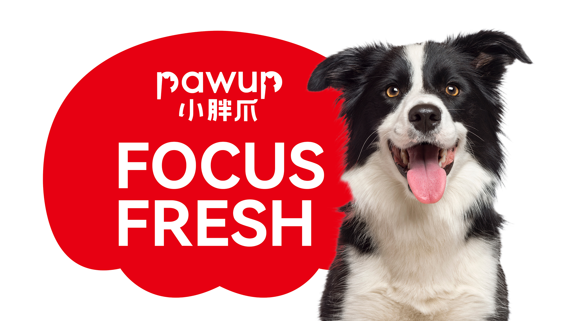 packing design，Fashion Fast Selling，