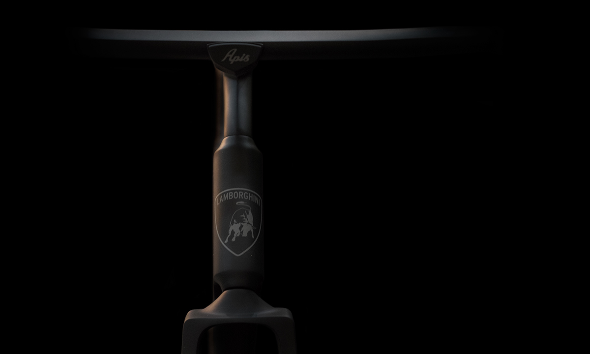 APIS，conceptual design，Bicycle，