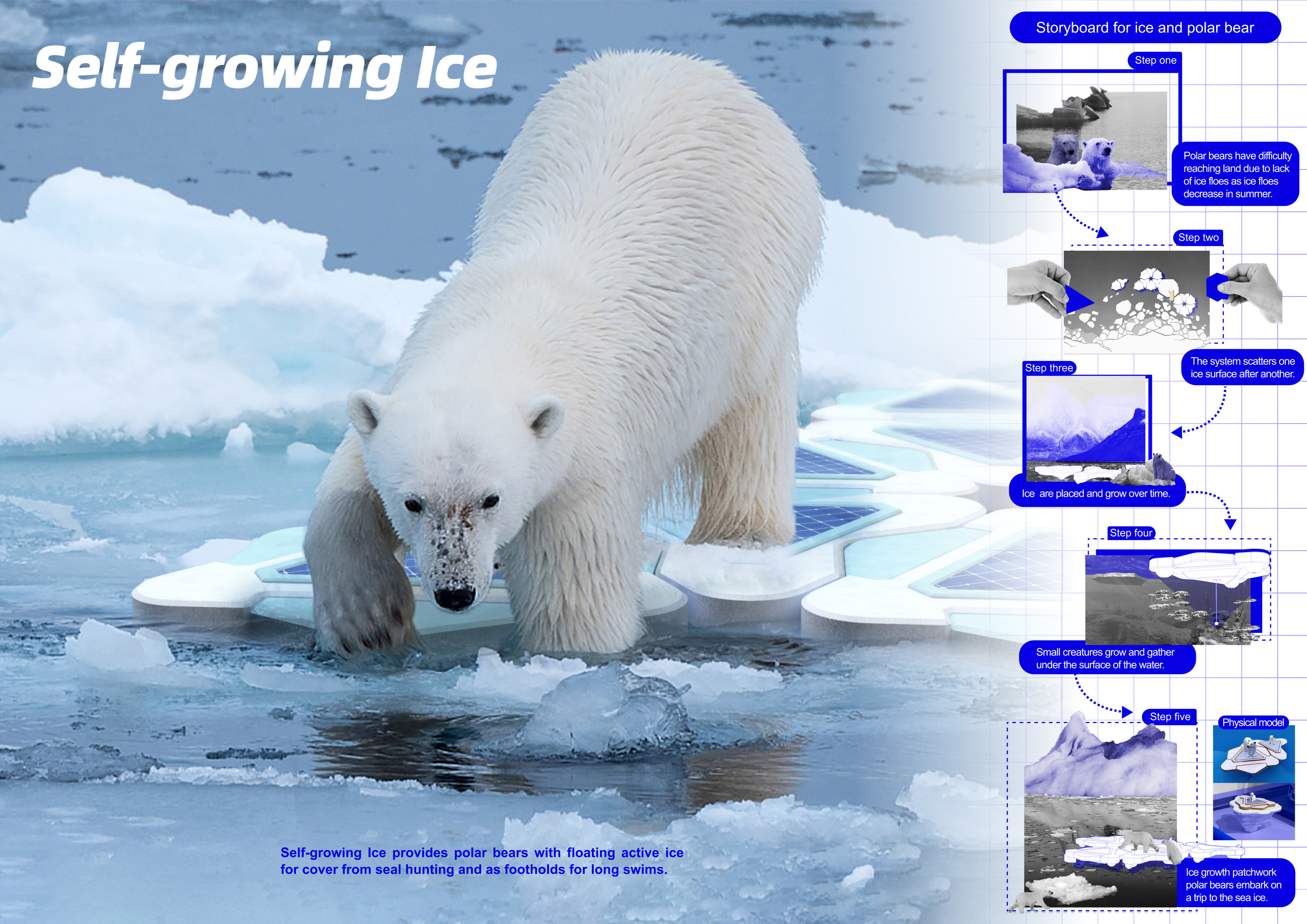 Polar bear，sea ice platform，global warming，Sustainable design，ecological design ，Double carbon，