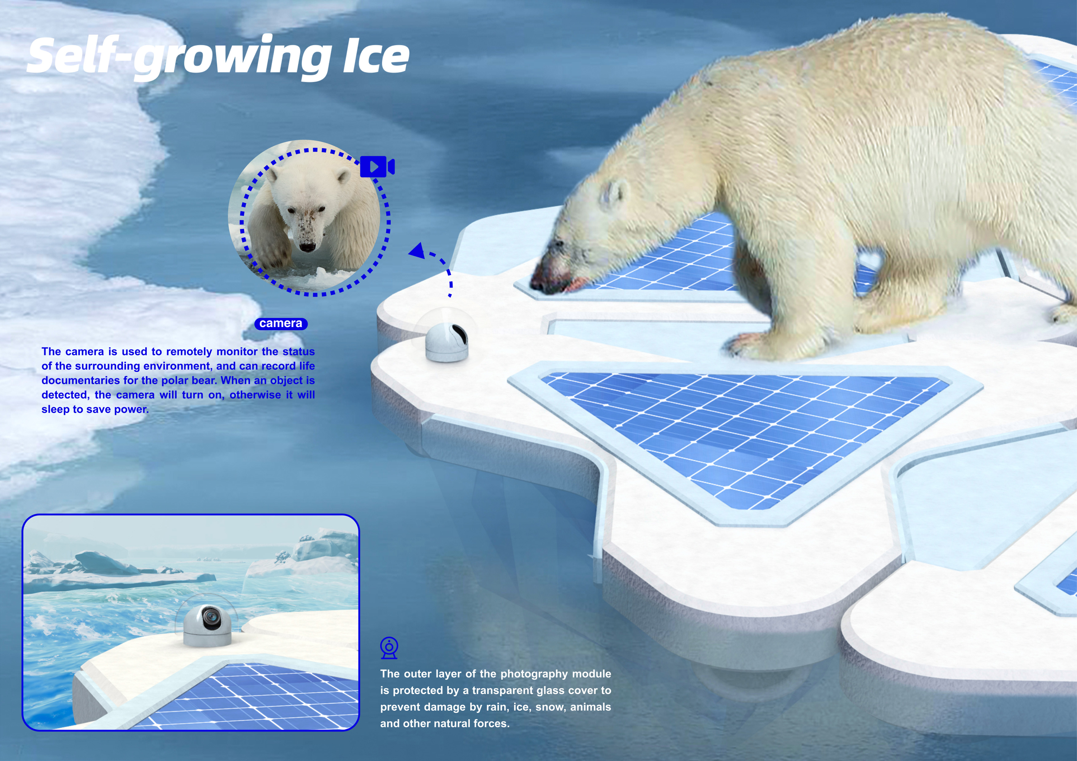 Polar bear，sea ice platform，global warming，Sustainable design，ecological design ，Double carbon，
