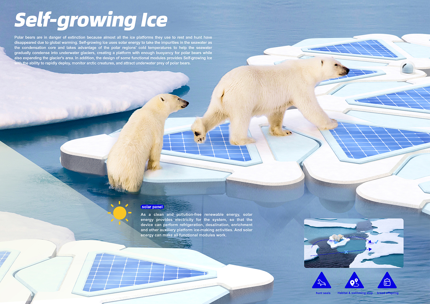 北极熊，海冰平台，全球变暖，可持续设计，生态设计，双碳，
