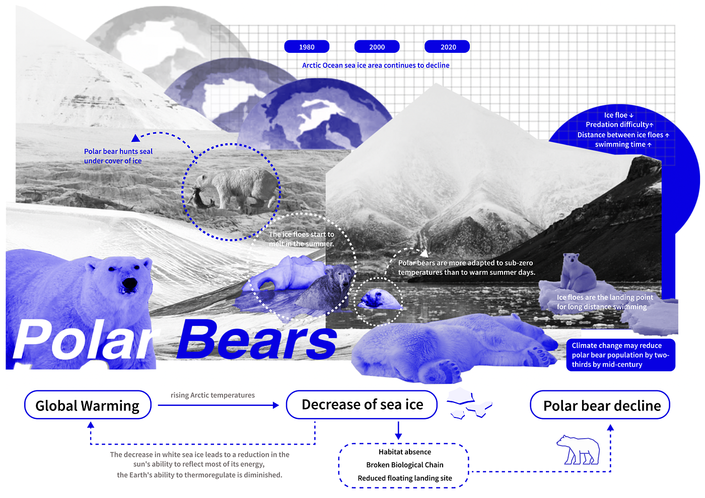 Polar bear，sea ice platform，global warming，Sustainable design，ecological design ，Double carbon，