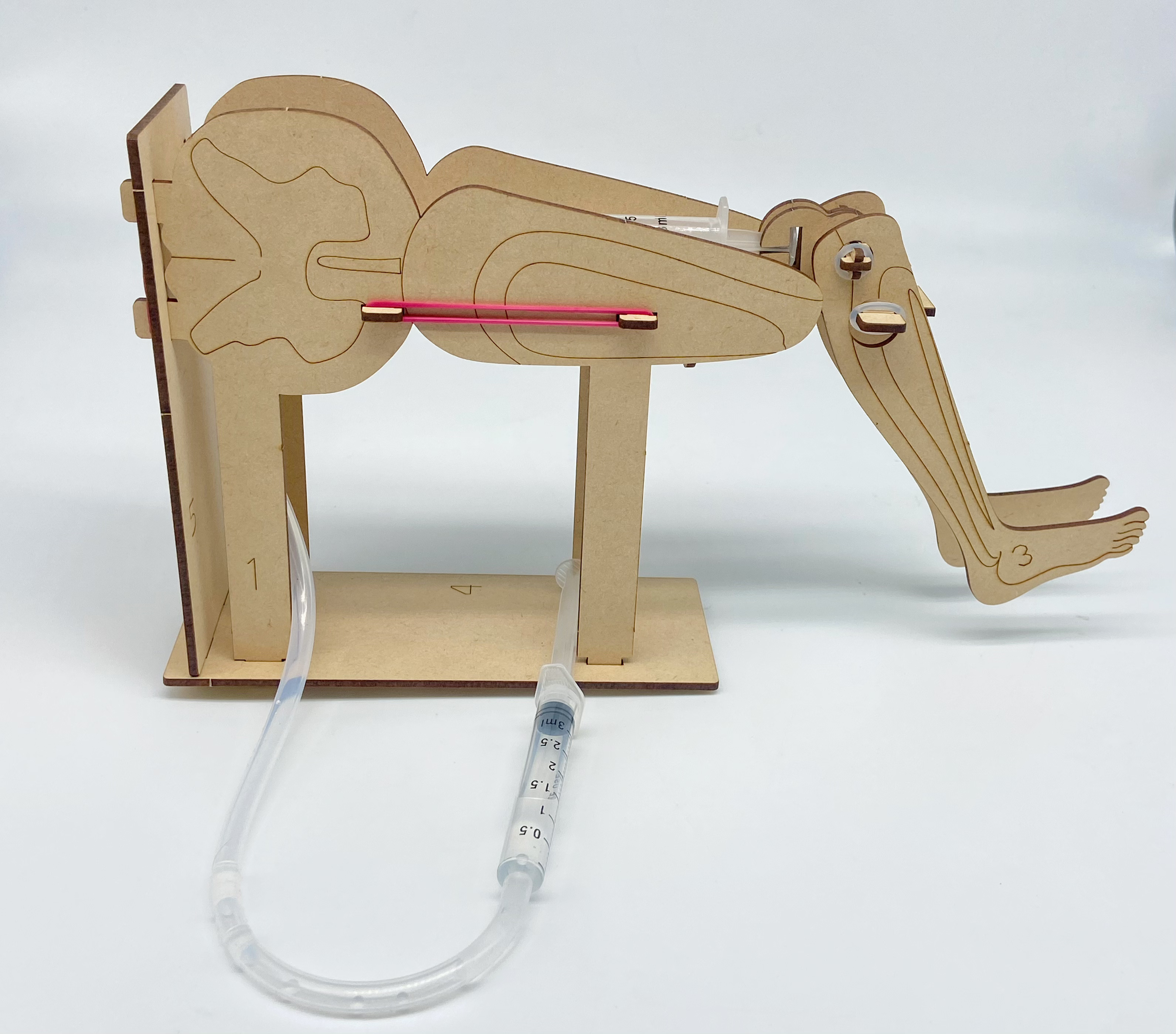 Teaching aids，Laser cutting board，steam，