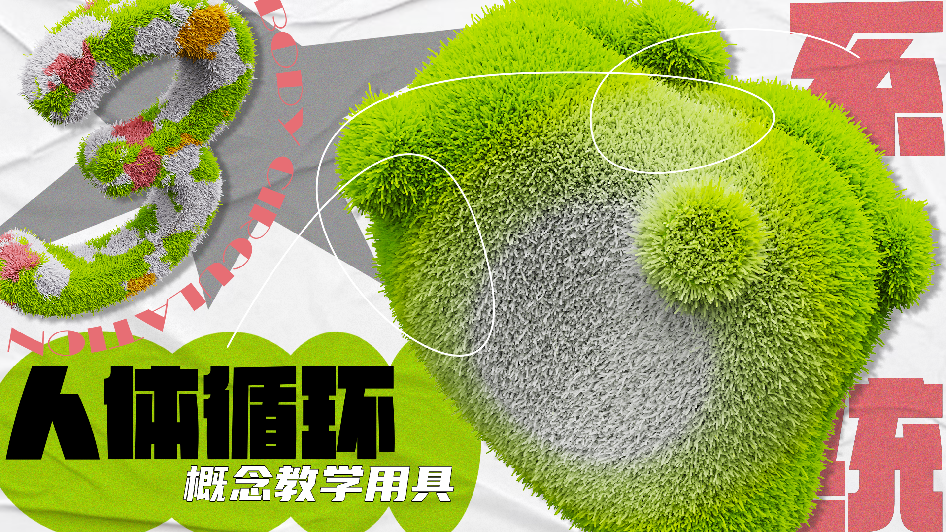 innovate，ui，interactive，human body，biology，New concept teaching aid，Interaction design，Teaching toys，