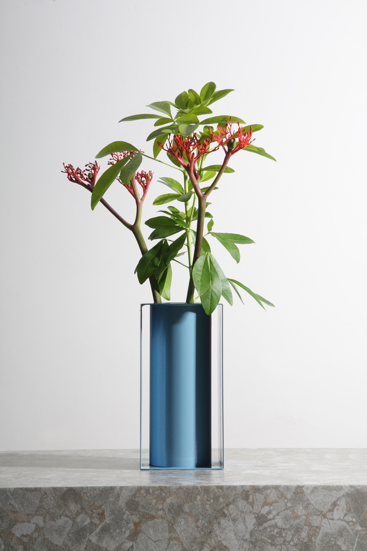 Desktop supplies，Receive，Flowerpot，product design，multi-function，