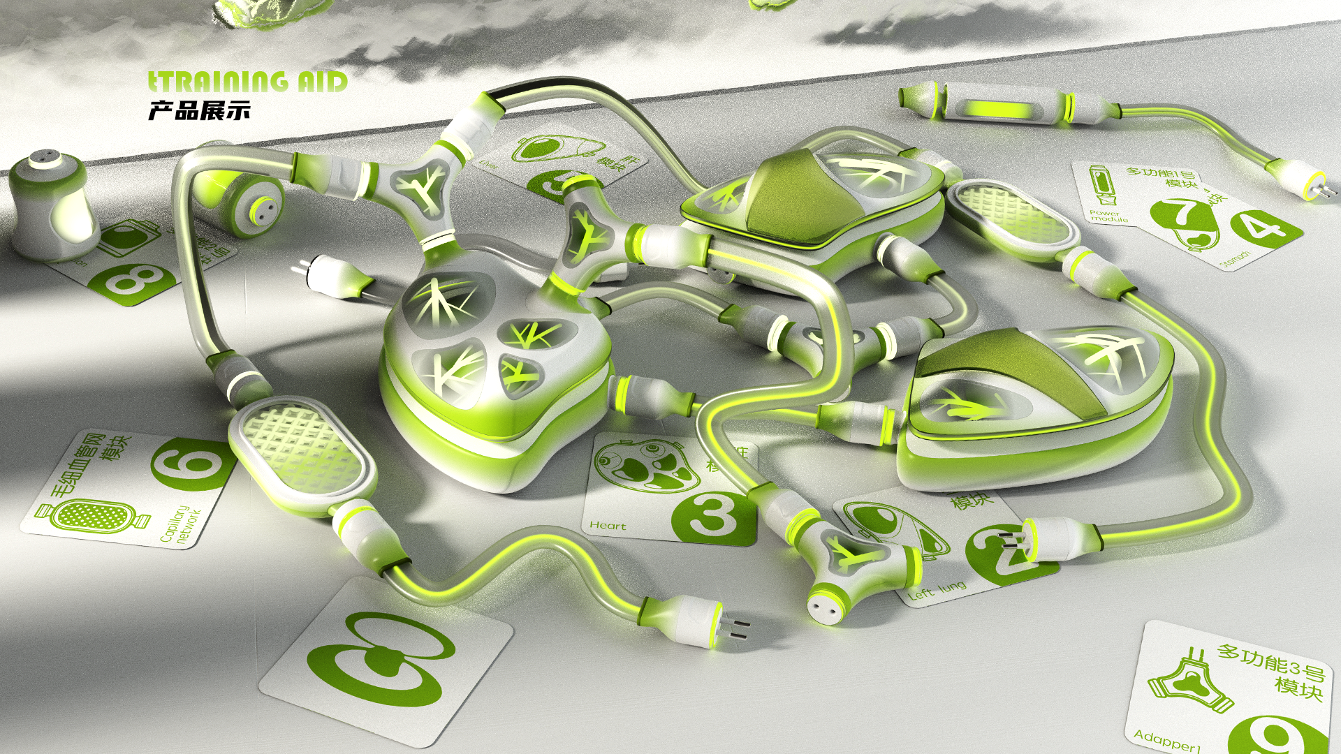 innovate，ui，interactive，human body，biology，New concept teaching aid，Interaction design，Teaching toys，