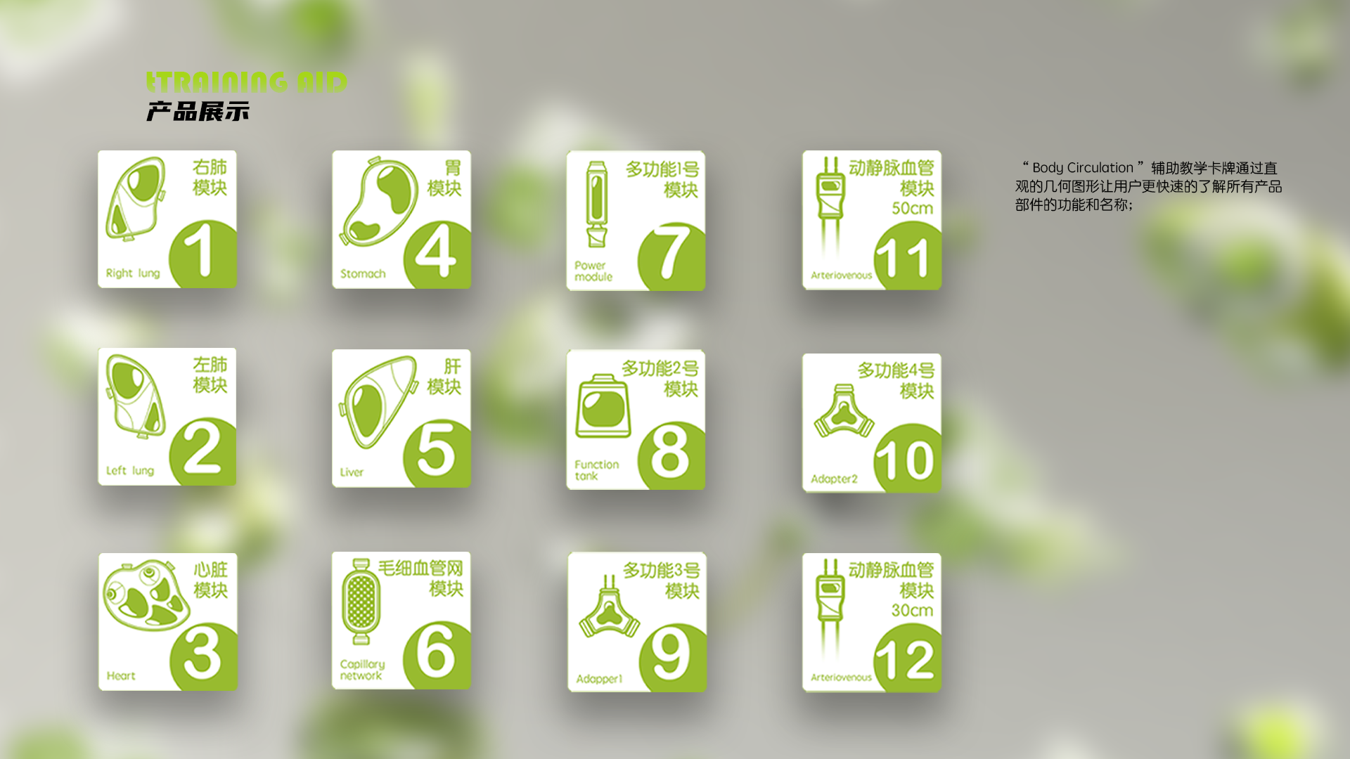 innovate，ui，interactive，human body，biology，New concept teaching aid，Interaction design，Teaching toys，