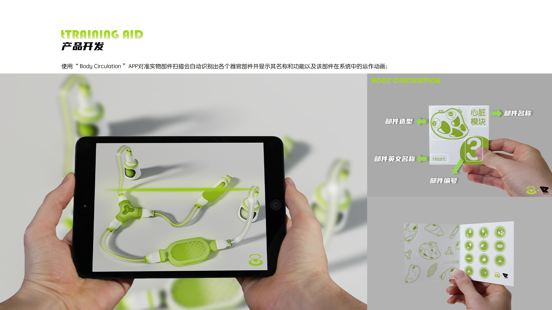 innovate，ui，interactive，human body，biology，New concept teaching aid，Interaction design，Teaching toys，