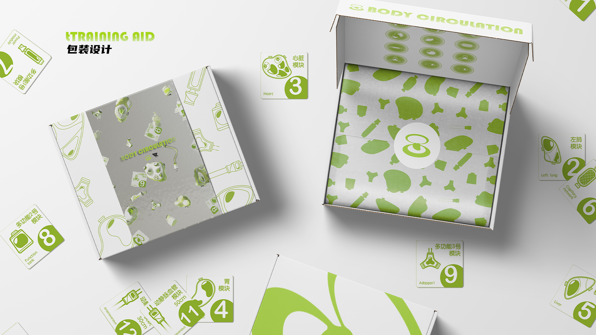 innovate，ui，interactive，human body，biology，New concept teaching aid，Interaction design，Teaching toys，