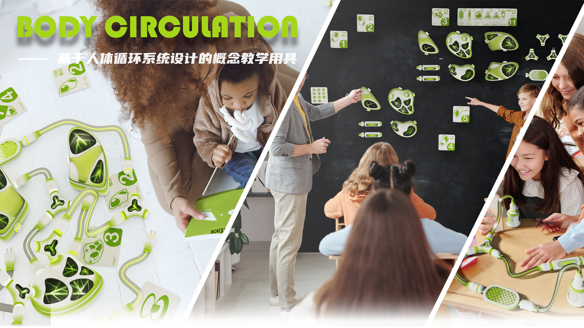 innovate，ui，interactive，human body，biology，New concept teaching aid，Interaction design，Teaching toys，
