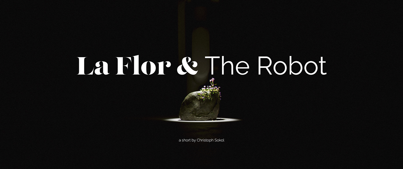 Artwork，stone，flowers and plants，manipulator，video，