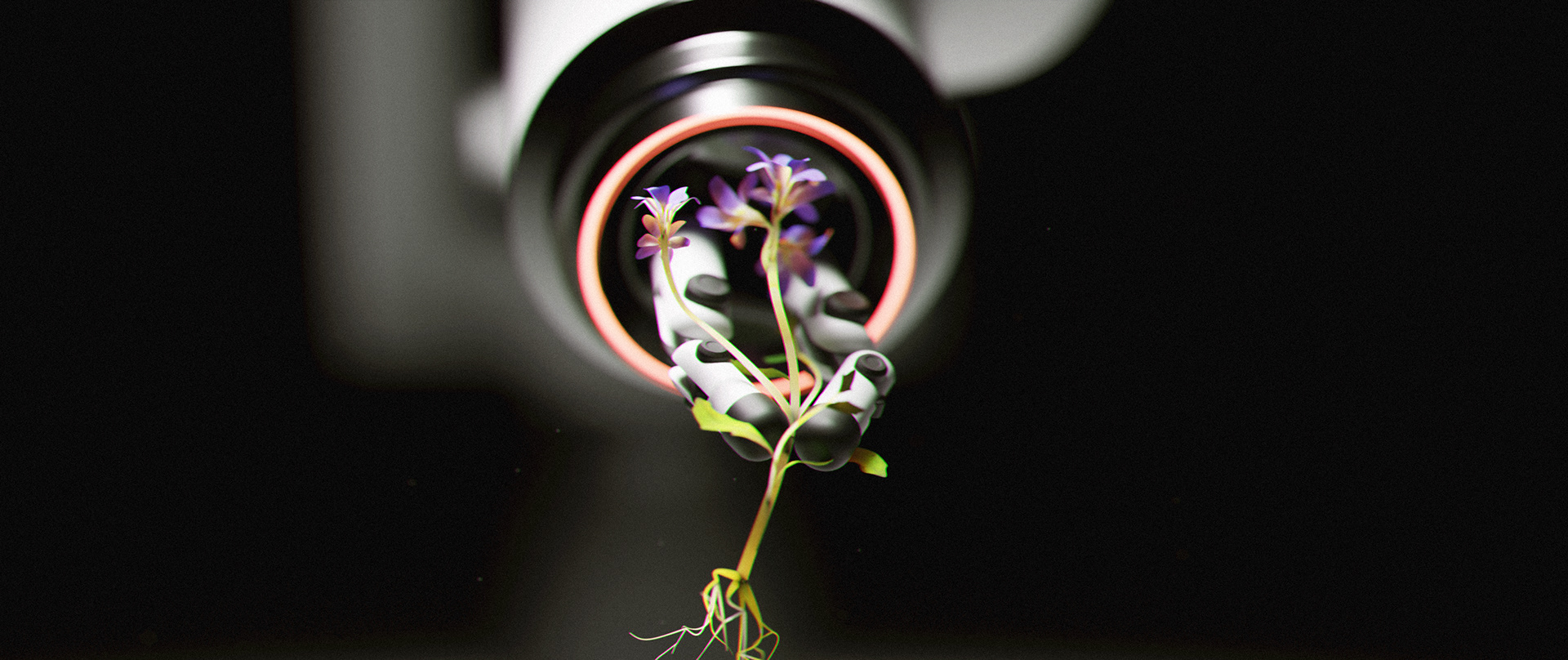 Artwork，stone，flowers and plants，manipulator，video，