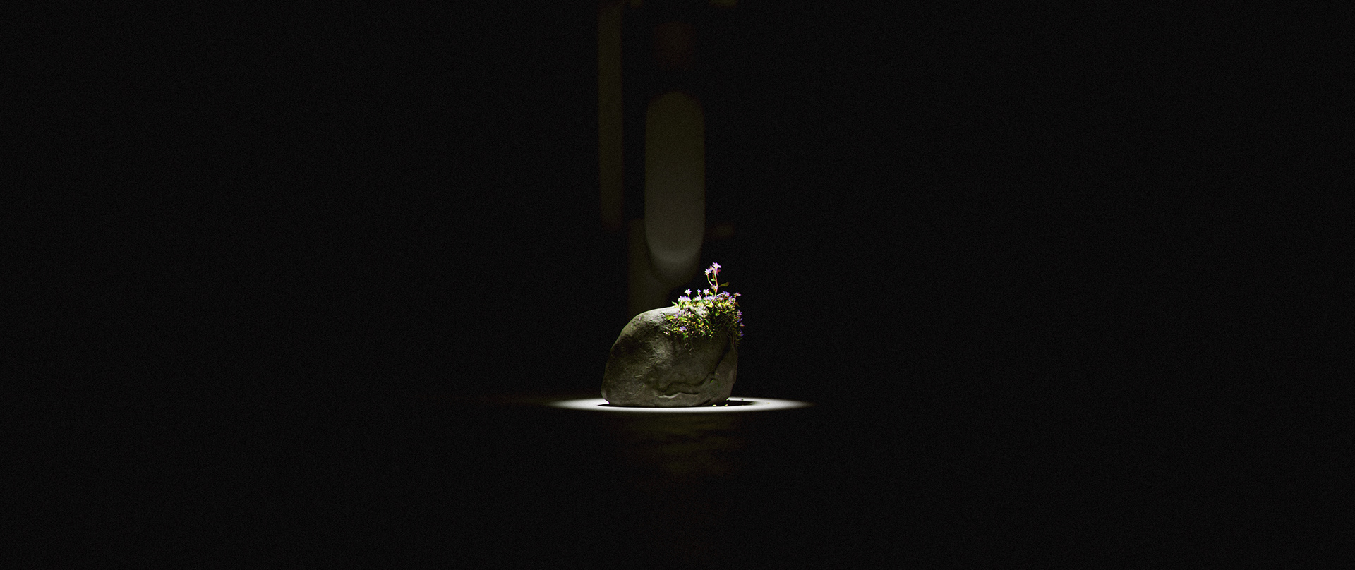 Artwork，stone，flowers and plants，manipulator，video，