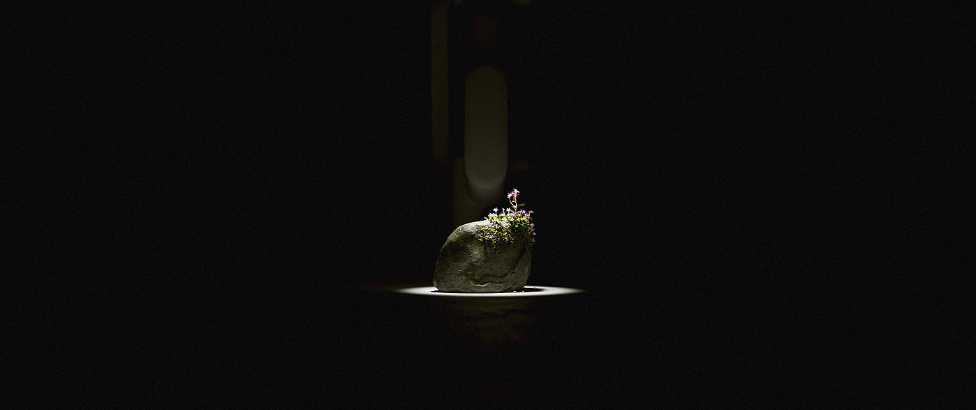 Artwork，stone，flowers and plants，manipulator，video，