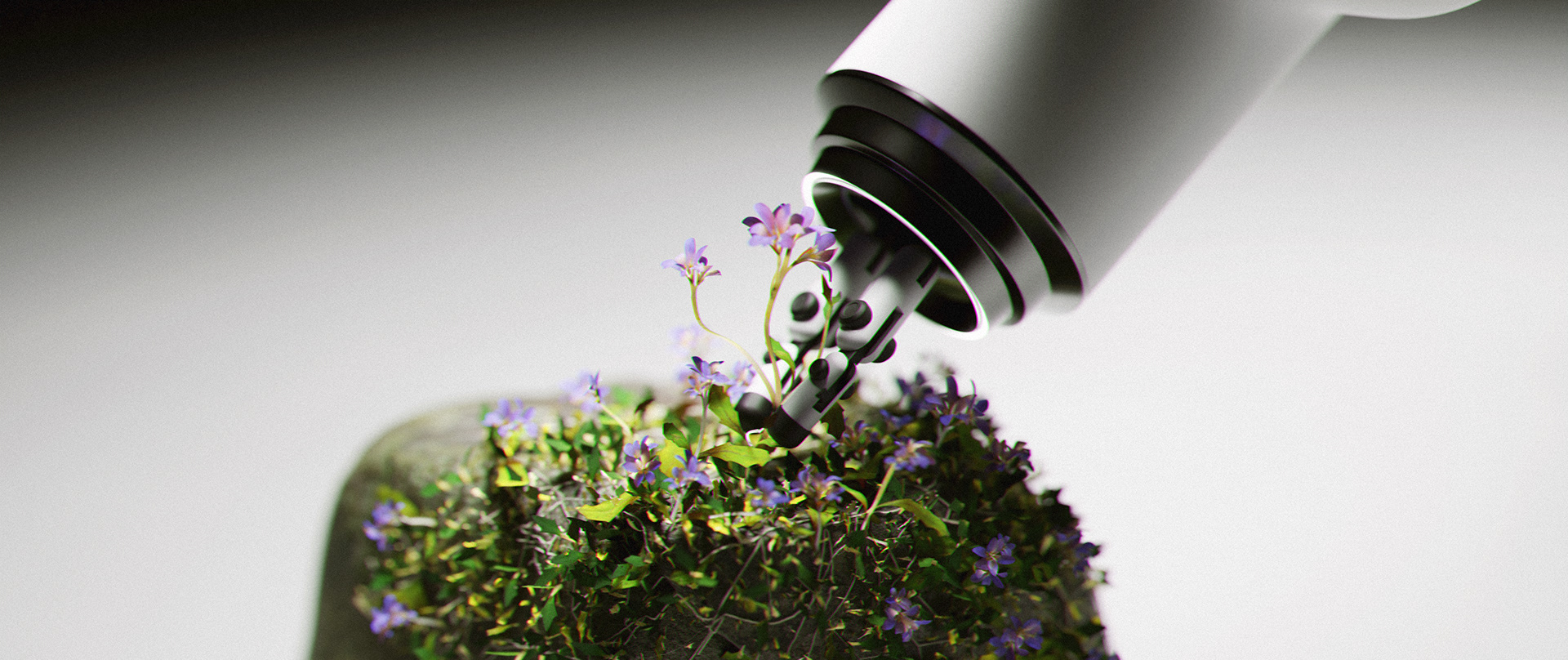 Artwork，stone，flowers and plants，manipulator，video，