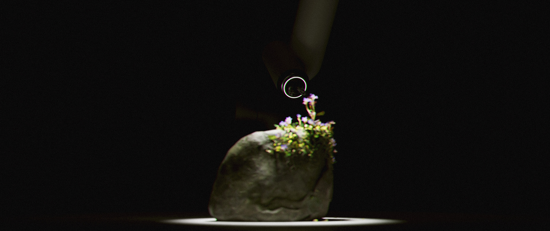 Artwork，stone，flowers and plants，manipulator，video，