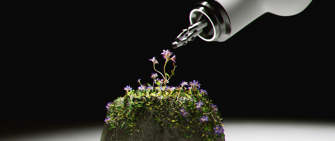 Artwork，stone，flowers and plants，manipulator，video，