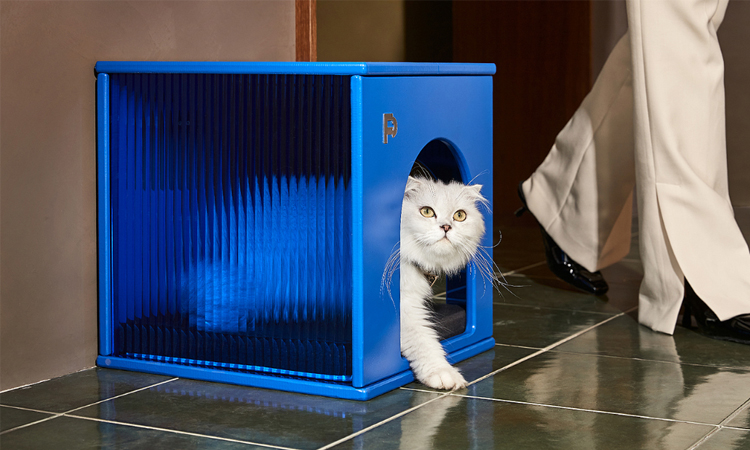 product design，product design，industrial design，industrial design，household electrical appliances，household electrical appliances，Gehu，Gehu，Environmental electrical appliances，Environmental electrical appliances，Pet Supplies & Pet，Pet Supplies & Pet，air conditioner，air conditioner，